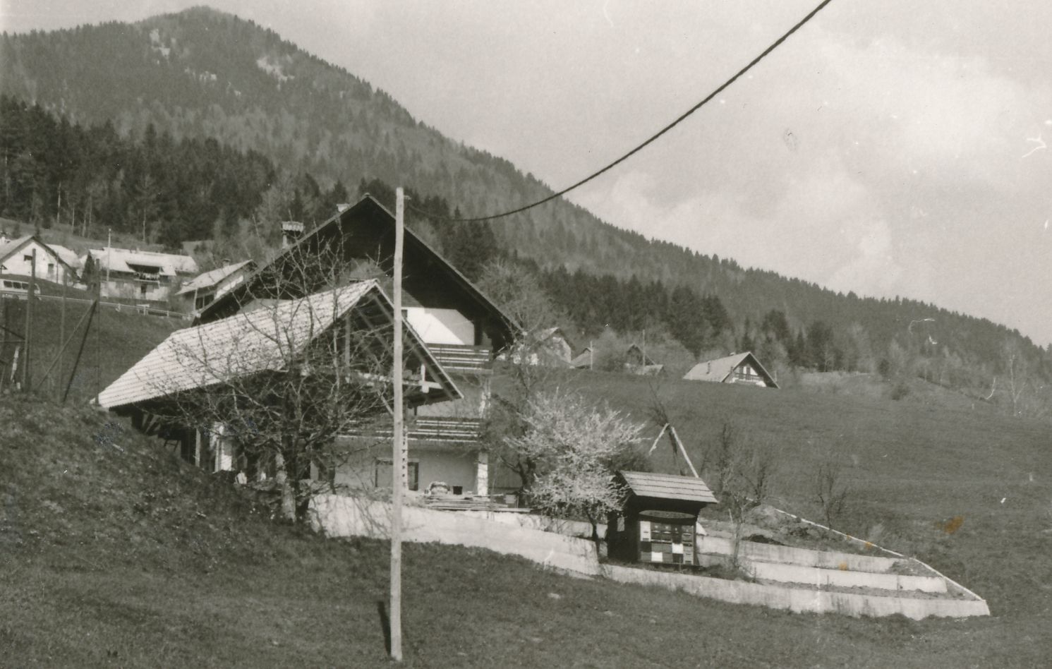 eika image